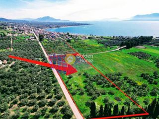 Αγροτεμάχια 16.688 τ.μ. προς πώληση