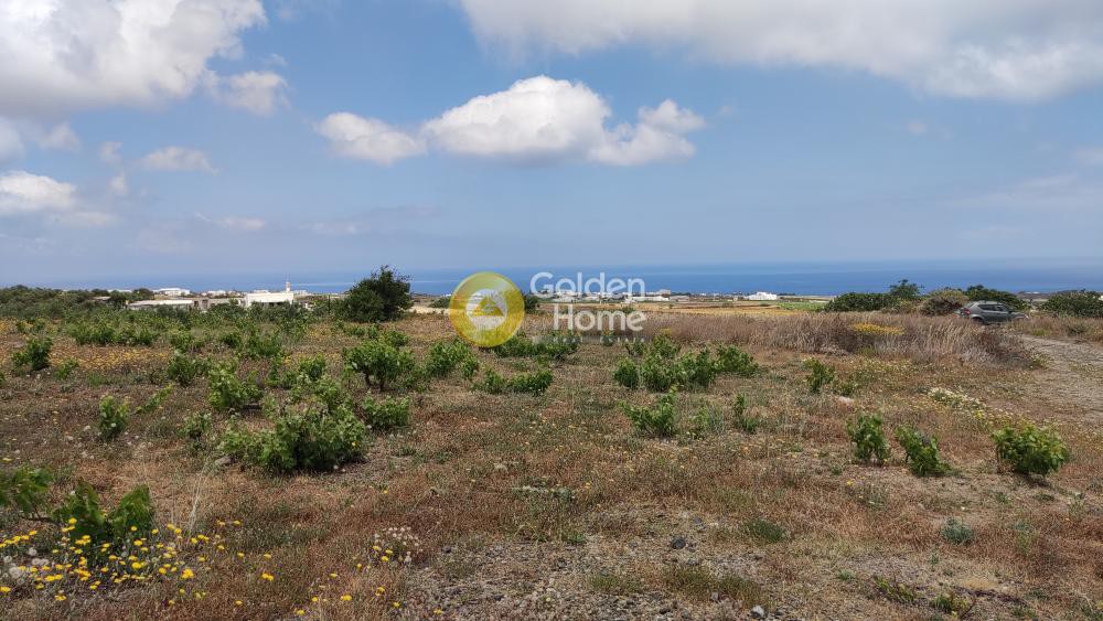 Οικόπεδο 6.000 τ.μ. προς πώληση, Θήρα