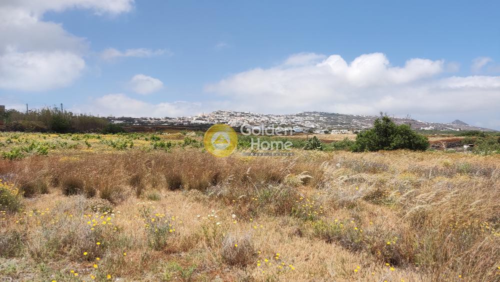 Οικόπεδο 6.000 τ.μ. προς πώληση, Θήρα