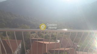 Κτίριο 380 τ.μ. για πώληση, Αρκαδία, Δημητσάνα-thumb-10