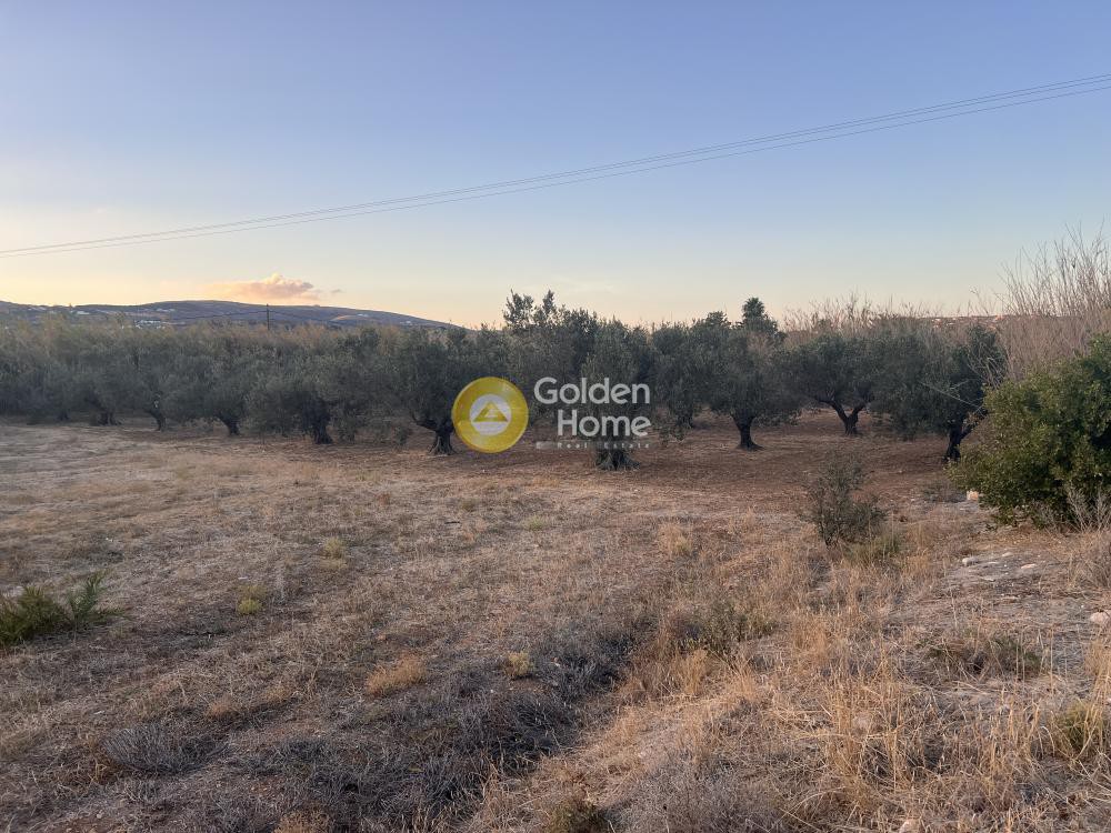 Αγροτεμάχια 9.518 τ.μ. προς πώληση, Γλυφάδες