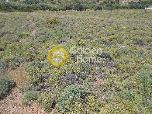 Parcel 724 sqm for sale, Rest Of Attica, Kouvaras