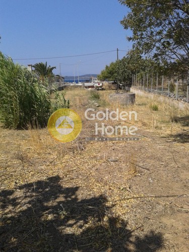 Οικόπεδο 768 τ.μ. προς ενοικίαση, Εύβοια, Στύρα