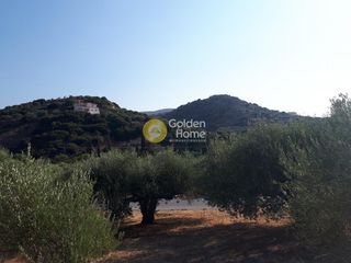 Αγροτεμάχια 770 τ.μ. για πώληση