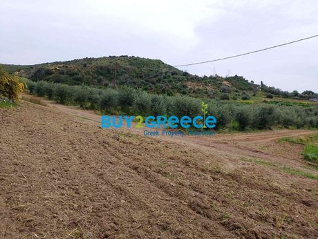 Οικόπεδο 100.000τ.μ. για πώληση-Αρχαία ολυμπία