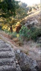 Μονοκατοικία 60 τ.μ. για πώληση