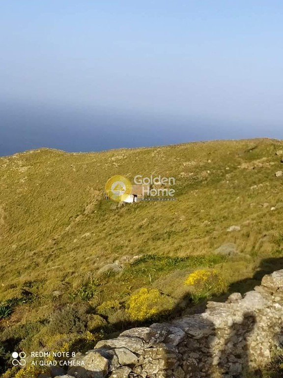 Αγροτεμάχια 97.000 τ.μ. προς πώληση, Φλαμπούρια