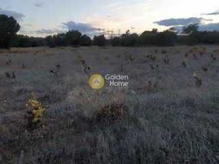 Αγροτεμάχια 8.000 τ.μ. προς πώληση