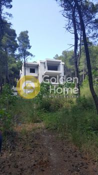 Detached home 450 sqm for sale