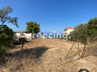 Οικόπεδο 577 τ.μ. προς πώληση, Ξυλόκαστρο-thumb-1