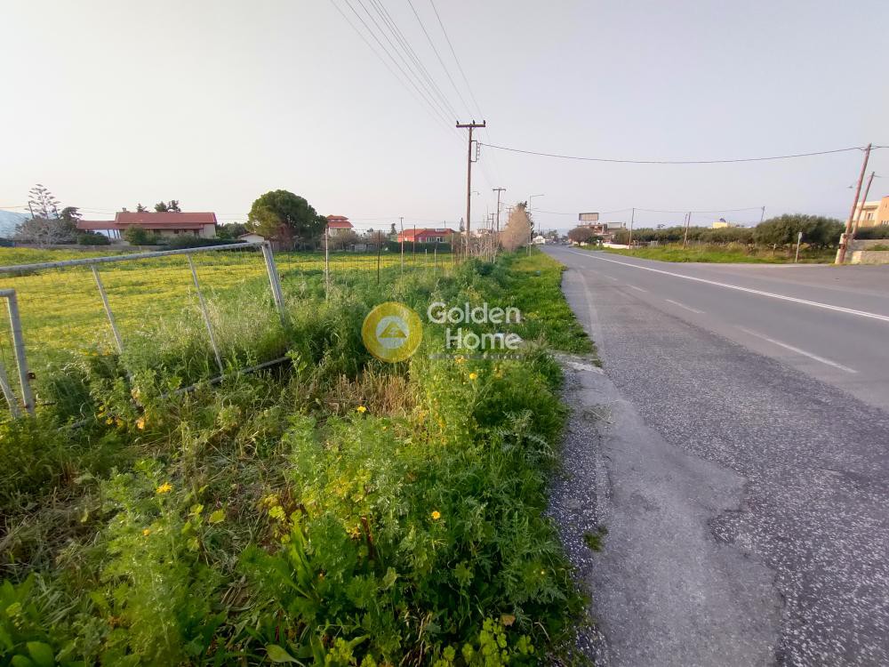 Οικόπεδο 15.800 τ.μ. προς ενοικίαση, Άγιοι Θεόδωροι Γαζίου