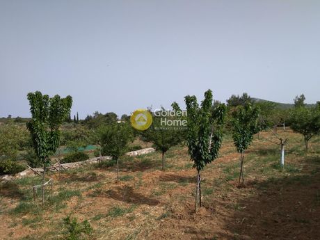 Parcel 4.065sqm for sale-Marathonas » Vothonas