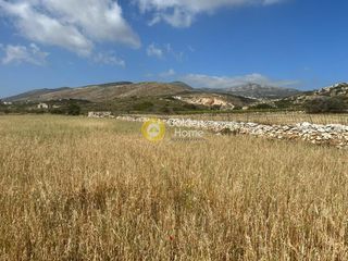 Αγροτεμάχια 12.874 τ.μ. για πώληση