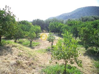 Οικόπεδο 647 τ.μ. για πώληση