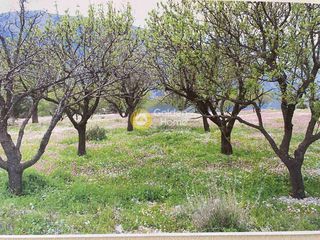 Οικόπεδο 550 τ.μ. για πώληση, Φωκίδα, Δελφοί-thumb-2