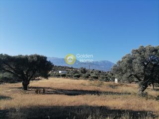 Οικόπεδο 3.445 τ.μ. για πώληση