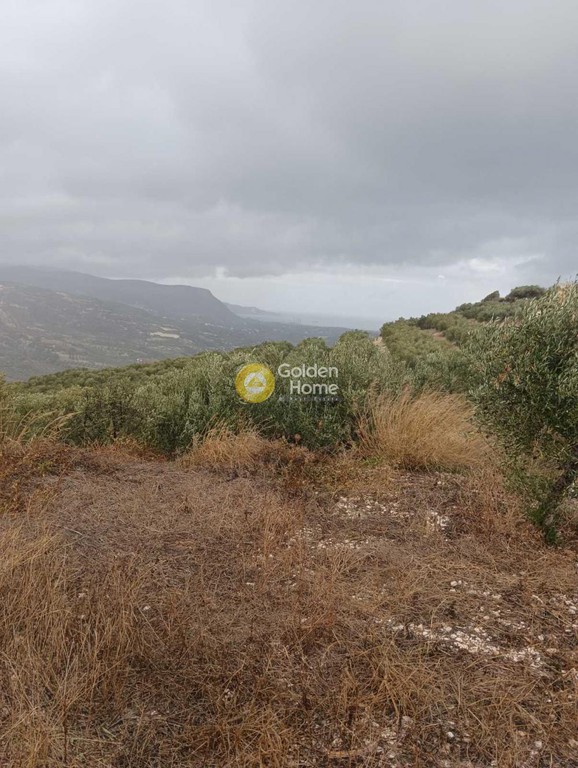 Οικόπεδο 2.500 τ.μ. προς πώληση, Βούτες