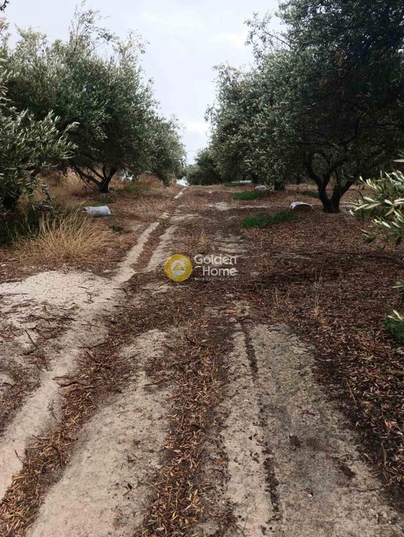 Οικόπεδο 2.500 τ.μ. προς πώληση, Βούτες