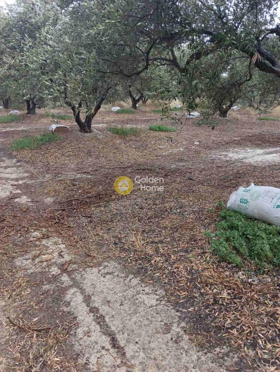 Οικόπεδο 2.500 τ.μ. προς πώληση, Βούτες