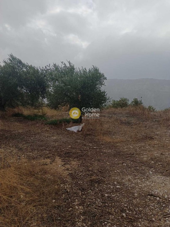 Οικόπεδο 2.500 τ.μ. προς πώληση, Βούτες