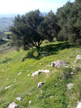 Αγροτεμάχια 2.500τ.μ. για πώληση-Αρχάνες » Βαθύπετρο