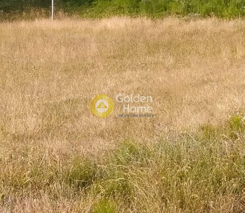 Αγροτεμάχια 1.147 τ.μ. για πώληση, Ν. Λασιθίου, Βραχάσι
