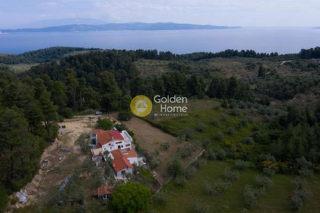 Συγκρότημα διαμερισμάτων 134τ.μ. για πώληση-Αρτεμίσιο » Αγριοβότανο