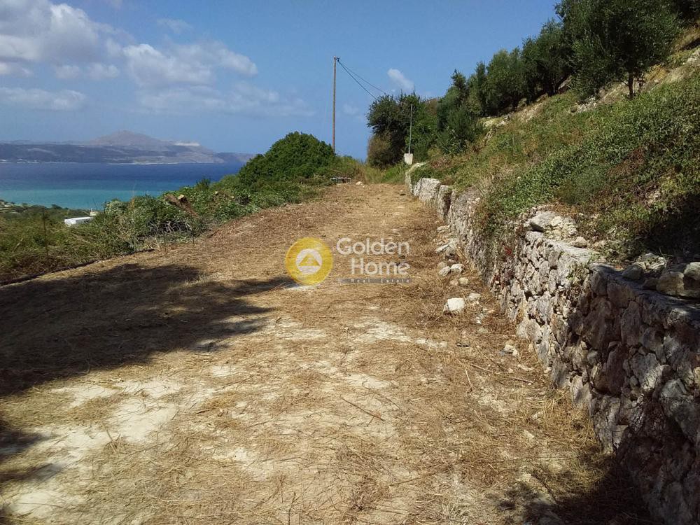 Οικόπεδο 6.350 τ.μ. προς πώληση, Αλμυρίδα Βάμου