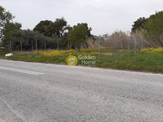 Οικόπεδο 750 τ.μ. για ενοικίαση, Αθήνα - Ανατολικά Προάστια, Γέρακας-thumb-2