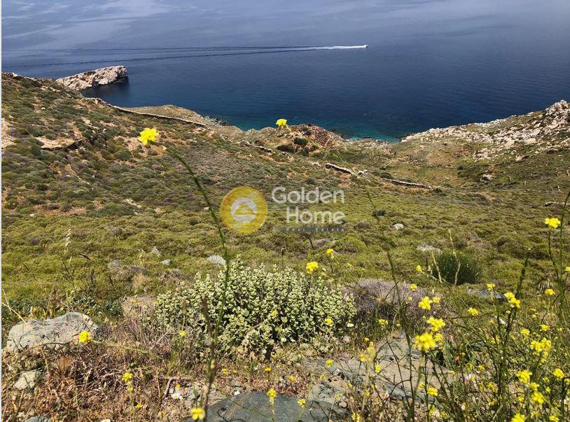 Οικόπεδο 6.010 τ.μ. προς πώληση, Κάλαμος Κέας