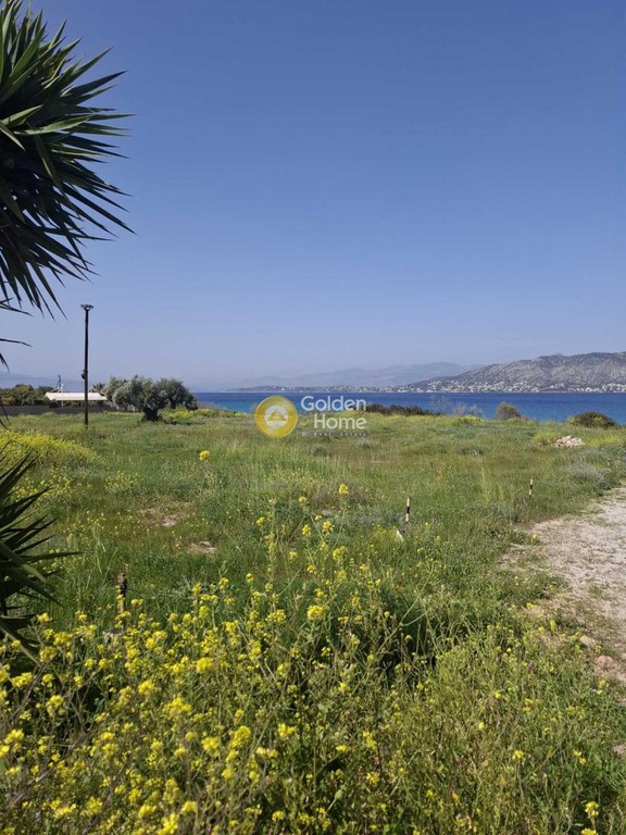 Οικόπεδο 4.970 τ.μ. πρός ενοικίαση, Νησιά Αργοσαρωνικού, Σαλαμίνα