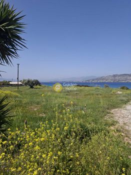 Οικόπεδο 4.970 τ.μ. προς ενοικίαση