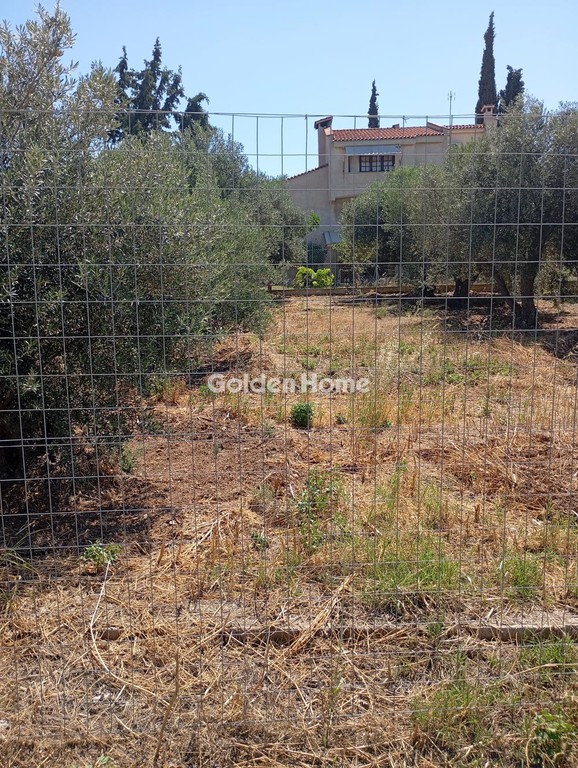 Οικόπεδο 4.000 τ.μ. προς ενοικίαση, Αθήνα - Ανατολικά Προάστια, Αρτέμιδα (λούτσα)