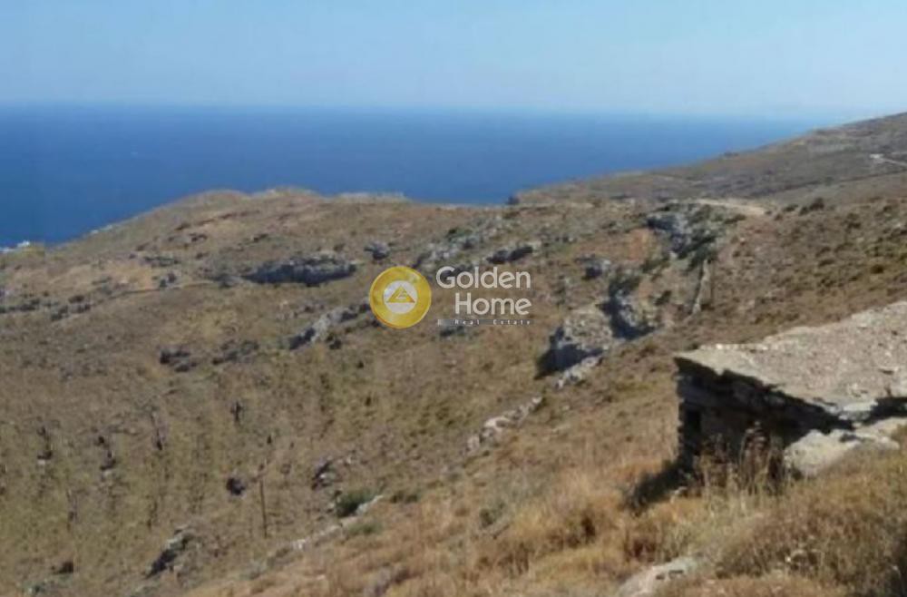 Οικόπεδο 4.800 τ.μ. προς πώληση, Σπαθί