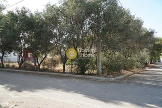 Land plot 291 sqm for sale