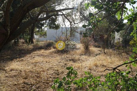 Οικόπεδο 291τ.μ. για πώληση-Αμπελάκια » Σελήνια