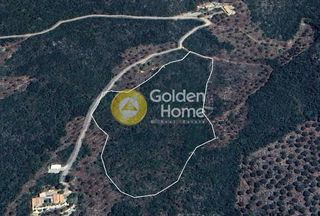 Οικόπεδο 25.000 τ.μ. προς πώληση, Κάμπος Λεύκτρου-thumb-1