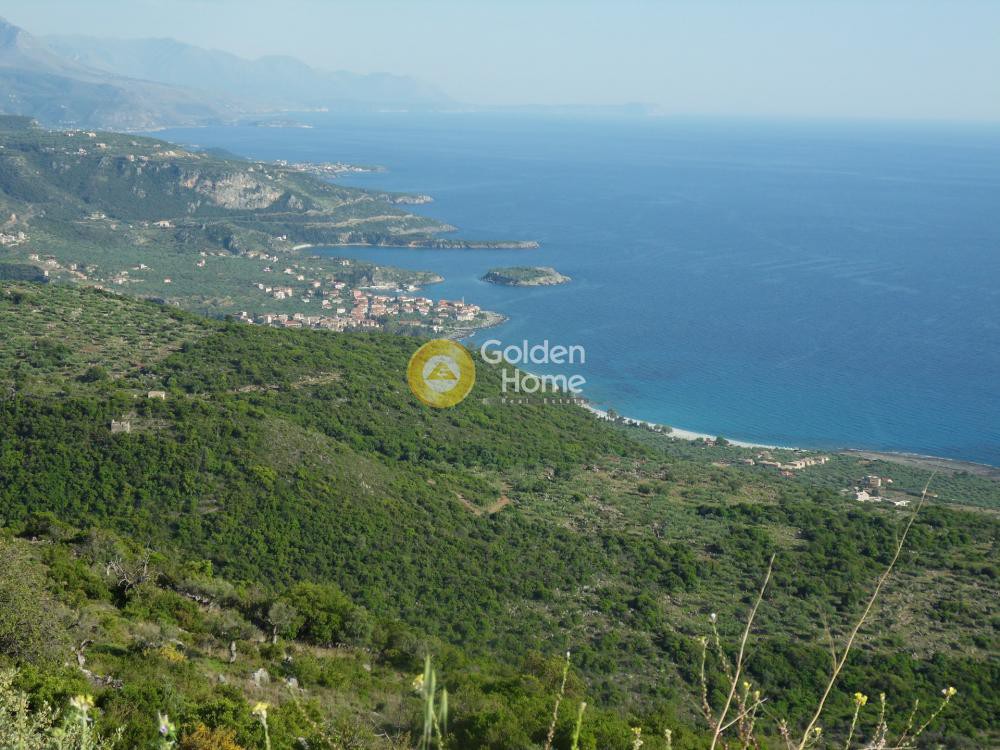Οικόπεδο 25.000 τ.μ. προς πώληση, Κάμπος Λεύκτρου