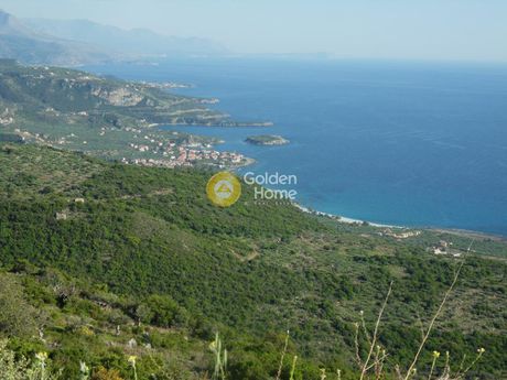 Οικόπεδο 25.000τ.μ. για πώληση-Λεύκτρος » Κάμπος
