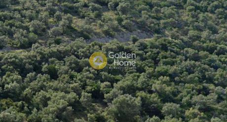 Οικόπεδο 16.909τ.μ. για πώληση-Μεγανήσι » Σκορπιός