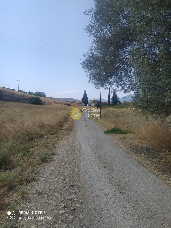 Οικόπεδο 7.000 τ.μ. προς πώληση, Δοκός Χαλκίδας