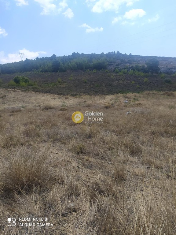 Οικόπεδο 7.000 τ.μ. προς πώληση, Δοκός Χαλκίδας