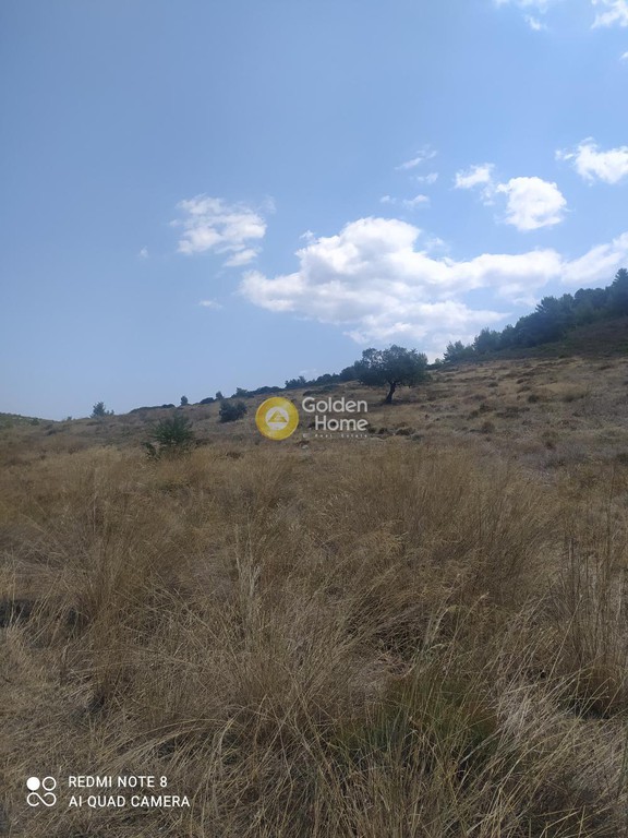 Οικόπεδο 7.000 τ.μ. προς πώληση, Δοκός Χαλκίδας