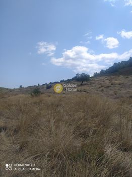 Οικόπεδο 7.000τ.μ. για πώληση-Χαλκίδα » Δοκός