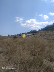Οικόπεδο 7.000 τ.μ. για πώληση