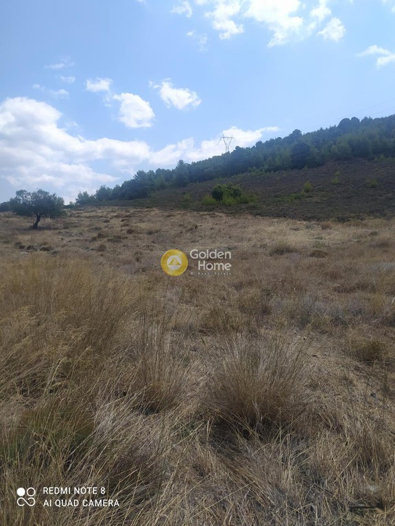 Οικόπεδο 7.000 τ.μ. προς πώληση, Δοκός Χαλκίδας