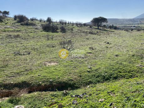 Αγροτεμάχια 13.000τ.μ. για πώληση-Κερατέα » Αρί
