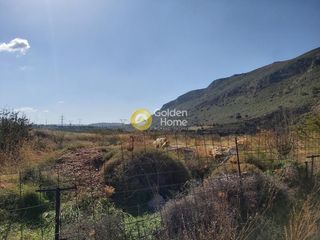 Οικόπεδο 7.000 τ.μ. για πώληση