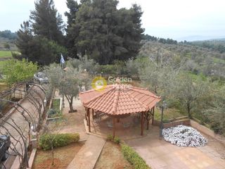 Μεζονέτα 190 τ.μ. προς πώληση, Σταυρός Μεσσαπίας-thumb-26