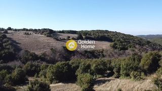 Αγροτεμάχια 800 τ.μ. για πώληση